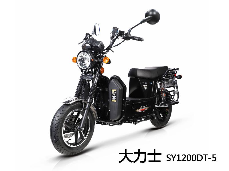 三雅SY1200DT-5电动摩托车大力士 SY1200DT-5图片